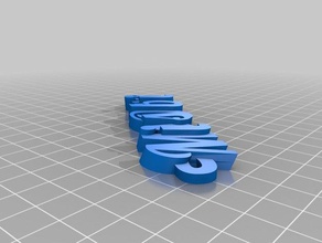 meu personalizados iamburnystext nome de chaveiro, pingente organização 3d print model - Mito3D