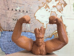 groot fornidos brazos las esculturas beefyarms marvel 3d print model - Mito3D