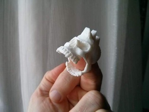dasaki punk skull ring rings 3d print model - Mito3D