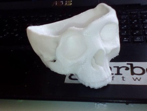 deforme kafatası kase diğer 3d print model - Mito3D