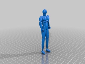 cuerpo humano tinkerdummy 3d impresión 3d print model - Mito3D