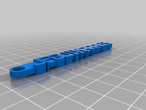 özelleştirilmiş Anahtarlık benim organizasyon 3d print model - Mito3D