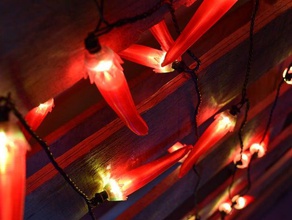 chili pepper lights household christmas festive led lighting patio 3d print model - Mito3D