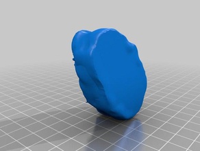 human ear people 3d scanned body part 3d print model - Mito3D