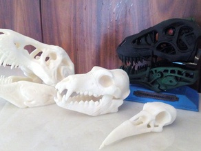 cráneos 3d impresión 3d print model - Mito3D