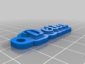 delia etiqueta llaveros personalizado 3d print model - Mito3D