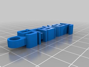 shakey keychain organization customized 3d print model - Mito3D