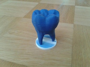 baby tooth box sculptures body art human teeth kids memory scale model souvenir 3d print model - Mito3D