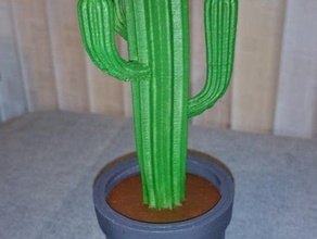 cactus sculptures 3d print model - Mito3D