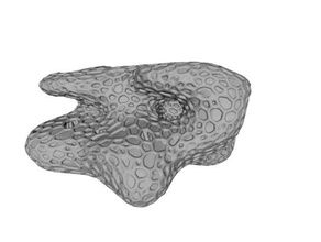 stampabile scogliera di rocce vive animali domestici 3d print model - Mito3D
