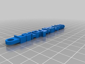 llavero leroy merlin organizasyon özelleştirilmiş 3d print model - Mito3D