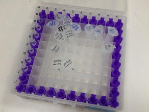 pcr-Röhrchen freezerbox Halter Biologie 3d print model - Mito3D