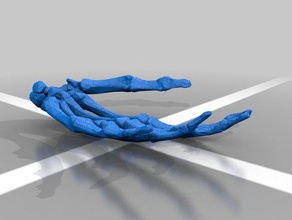 bodyparts3d scheletro della mano sinistra biologia 3d print model - Mito3D