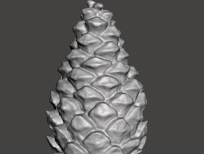 pine cone 3d-scan durchsucht Replikate xmas tree 3d print model - Mito3D