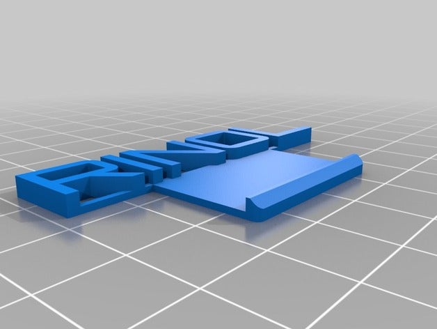 rinol os acessórios personalizado 3D print model - Mito3D