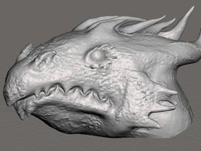 dragon head animals fantasy 3d print model - Mito3D