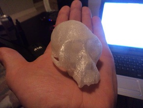 monkey skull 1 gis scans replicas 3d print model - Mito3D