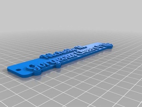 nichelle Schlüsselbund Schlüsselanhänger angepasst 3d print model - Mito3D