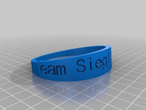 team siegler 2016 mens medium bracelet bracelets customized 3d print model - Mito3D
