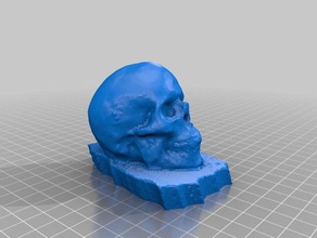 insan kafatası 123d yakala tarar kopyaları 3d print model - Mito3D