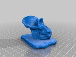 gorilla skull 123d catch scans replicas 3d print model - Mito3D
