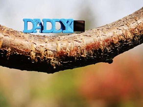 daddy usb case fathers computer day flash drive personalized 3d print model - Mito3D