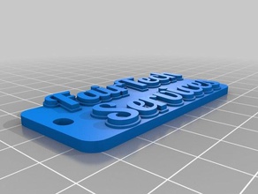 fts tag de porta-chaves chaveiros personalizado 3d print model - Mito3D