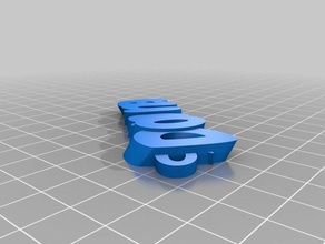 my customized iamburnystext name keyring keyfob organization 3d print model - Mito3D