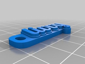 livy Anahtarlık özelleştirilmiş 3d print model - Mito3D