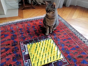 cat food labyrinth pets dispenser toy maze cats pet 3d print model - Mito3D