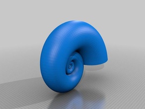 coquille de nautile sculptures 3d print model - Mito3D