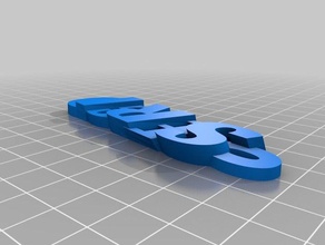 05 la mia personalizzato iamburnystext nome keyfob portachiavi organizzazione 3d print model - Mito3D