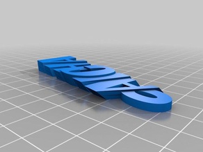 06 my customized iamburnystext name keyring keyfob organization 3d print model - Mito3D