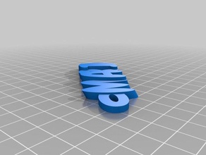 007 my customized iamburnystext name keyring keyfob organization 3d print model - Mito3D