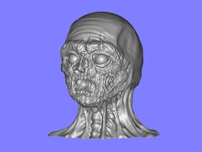zombie detalhes de alta esculpir esculturas criatura horror monstro resident evil walking dead walker 3d print model - Mito3D