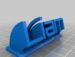 liamsweeping name office customized 3d print model - Mito3D
