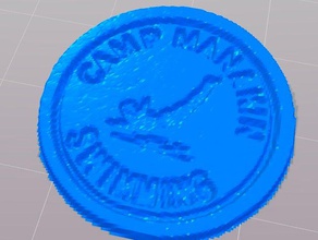 piscine badge les pièces de monnaie badges 3d print model - Mito3D
