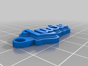 lucie tag de porte-clés personnalisé 3d print model - Mito3D