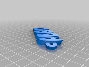 019 my customized iamburnystext name keyring keyfob organization 3d print model - Mito3D