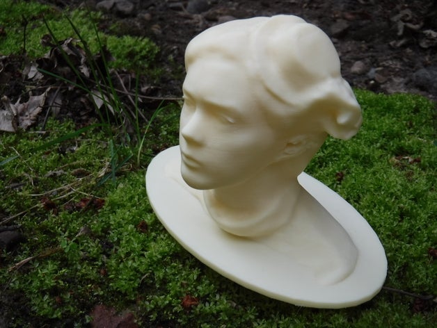 le buste de votre serviteur personnes Numérisation 3d autodesk recap meshmixer obj texturé 3D print model - Mito3D