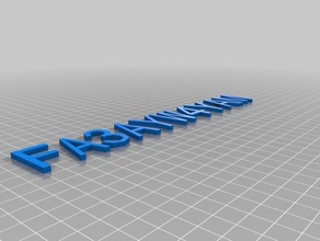 meine individuelle Namensschild-2holes Organisation 3d print model - Mito3D
