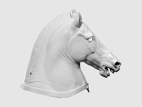 Scansione 3d horse head &ldquomedici riccardi&rdquo cavallo stampa 3d print model - Mito3D