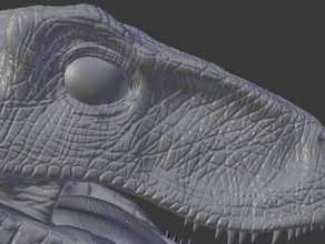jurassic park velociraptor kafa 3d baskı kuş yaratık dinozor dinozorlar 3d print model - Mito3D