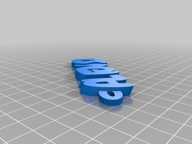 1001 my customized iamburnystext name keyring keyfob organization 3D print model - Mito3D