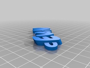 evan organización personalizado 3d print model - Mito3D