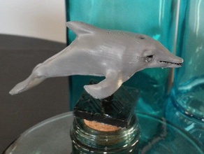 dolphin modello animali 3d print model - Mito3D