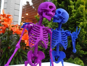 mr bones-artikulierte Skelett Tiere 3d print model - Mito3D