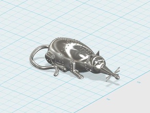 stainless steel rat models 3d print model - Mito3D