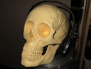 xp deus ws4 casque sport à l'extérieur d'écoute la détection de métal détecteur métaux 3d print model - Mito3D