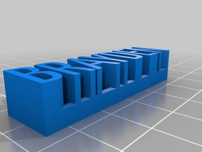 brayden las esculturas personalizado 3d print model - Mito3D